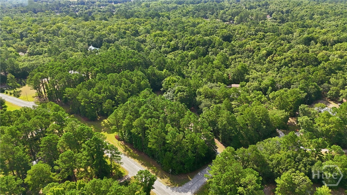 113 Ogeechee River Drive Property Photo 32
