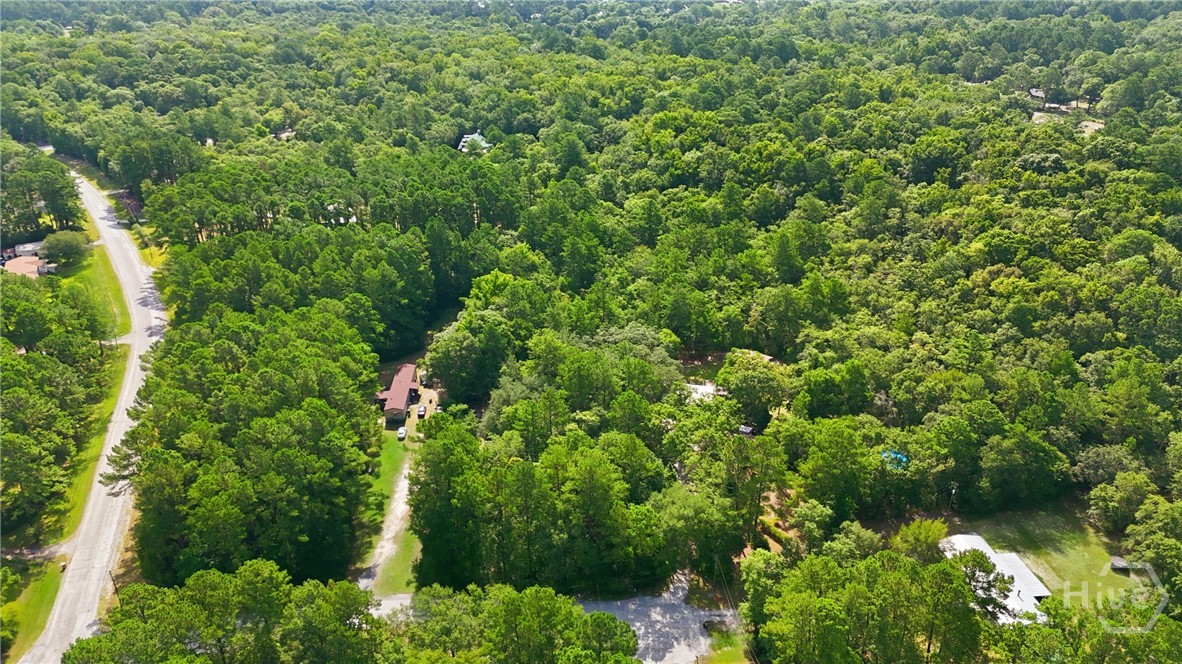 113 Ogeechee River Drive Property Photo 33