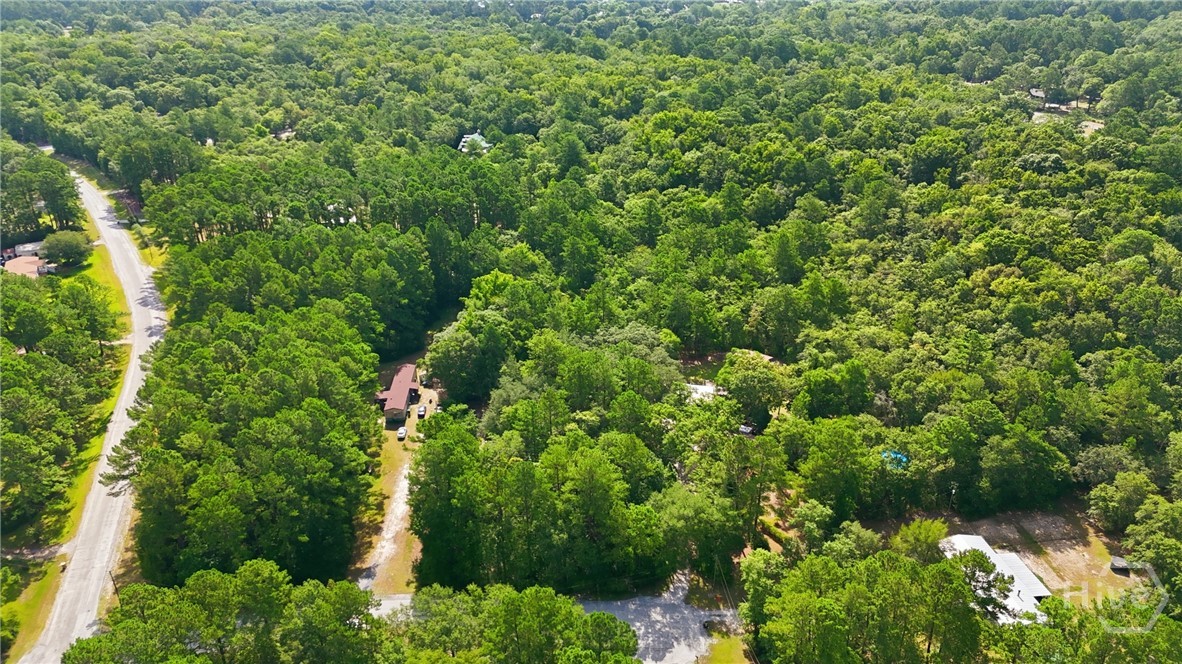 113 Ogeechee River Drive Property Photo 34