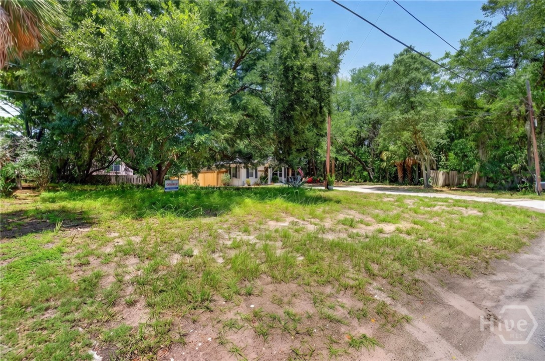 0 Solomon Avenue Property Photo 3