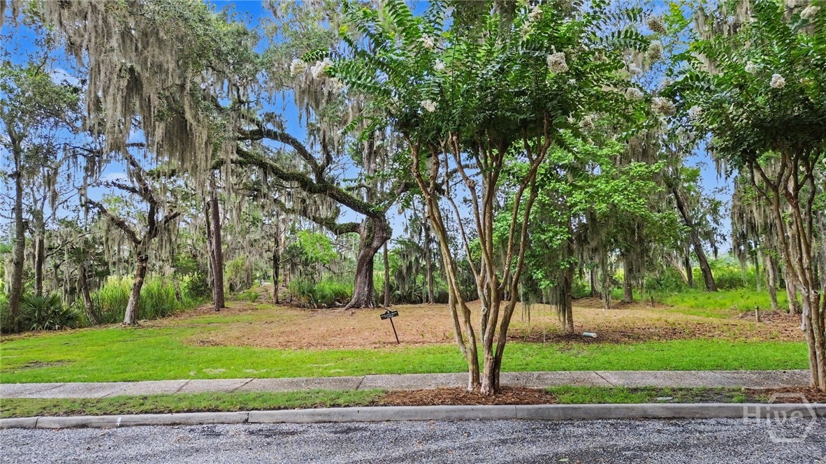 753 Mcallister Landing Property Photo 21