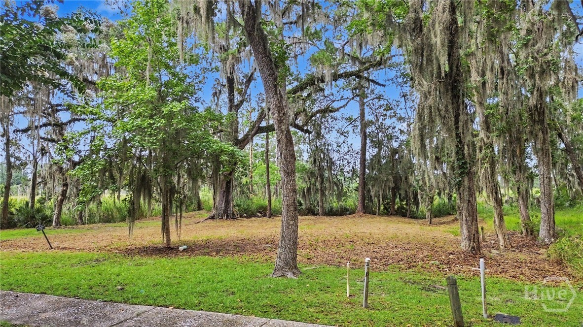 753 Mcallister Landing Property Photo 22