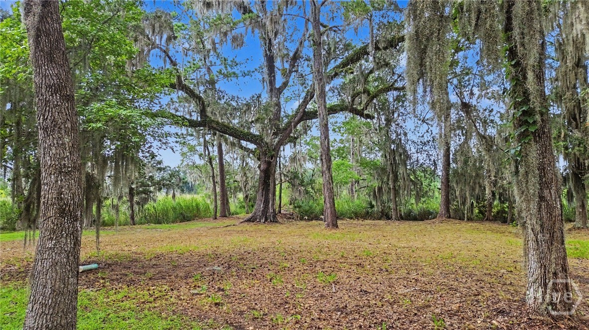 753 Mcallister Landing Property Photo 23
