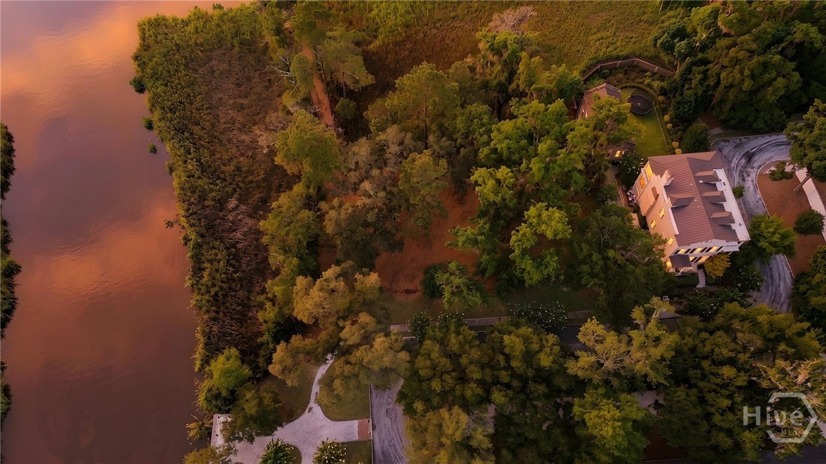 753 Mcallister Landing Property Photo 25