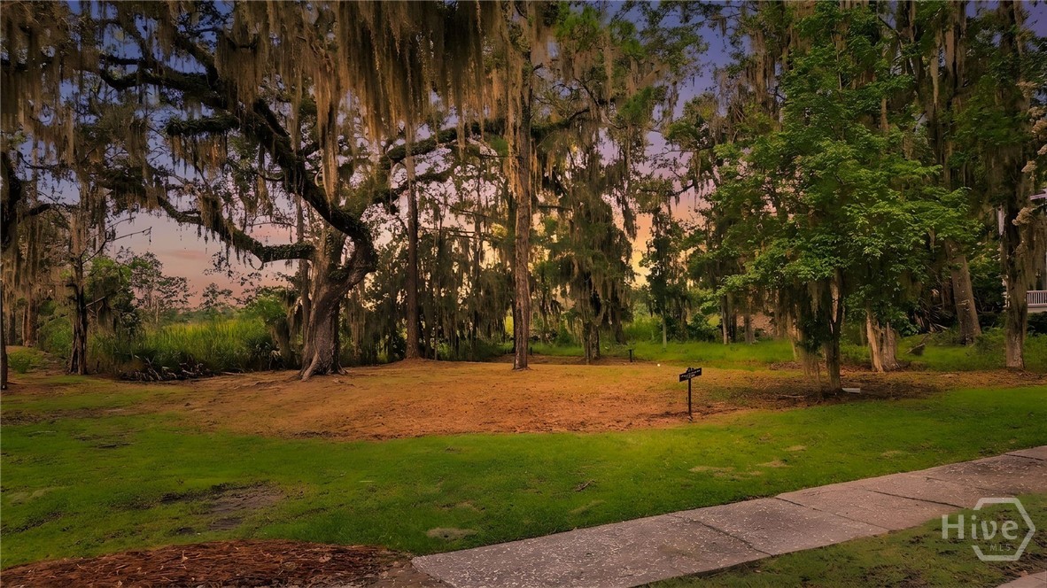 753 Mcallister Landing Property Photo 26