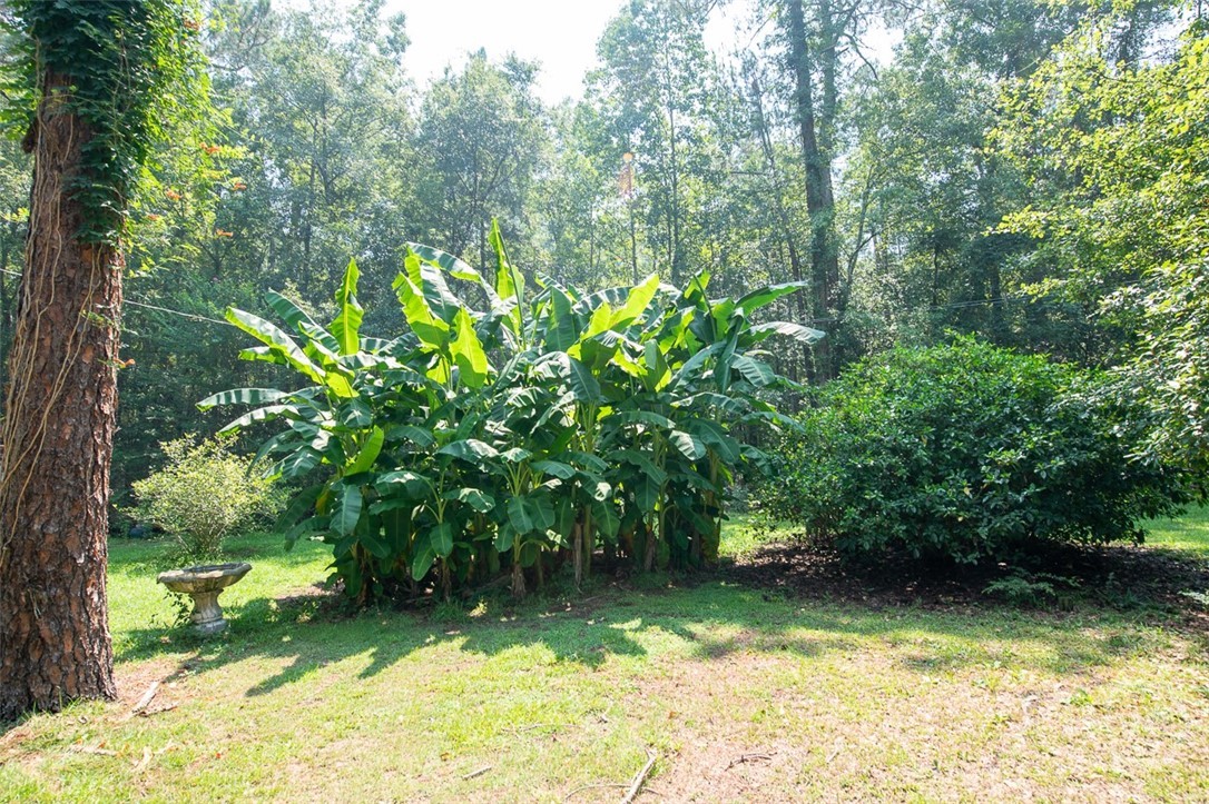 30 Morgan Road Property Photo 19