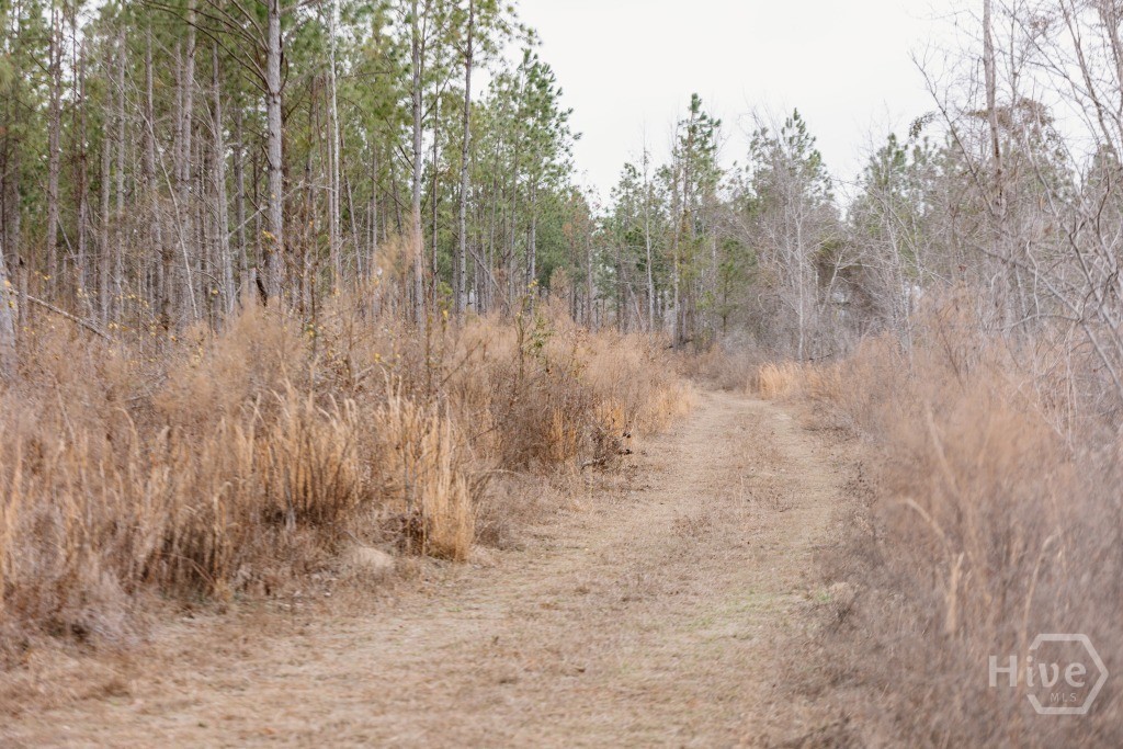 0 Bunn Store Road Tract 2 Property Photo 1