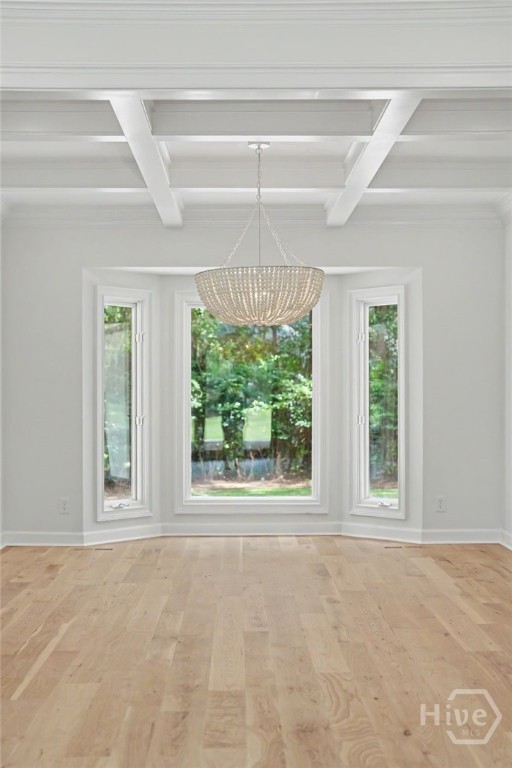 6 Hardwicke Lane Property Photo 16
