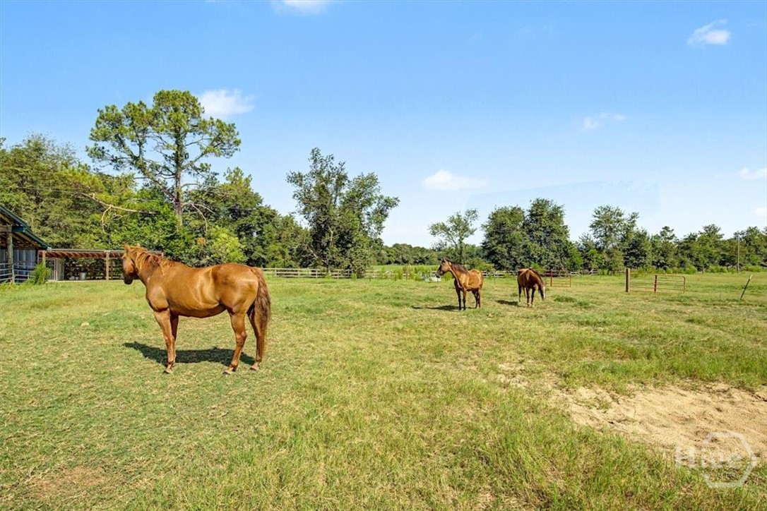 4781 L J Road Property Photo 43