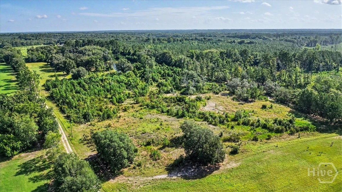 4781 L J Road Property Photo 58