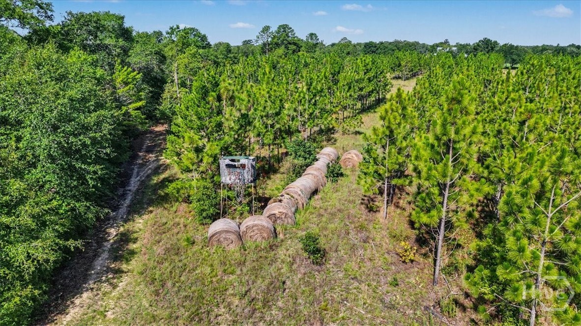 4781 L J Road Property Photo 63