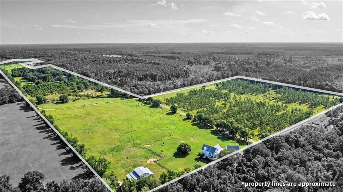 4781 L J Road Property Photo 67