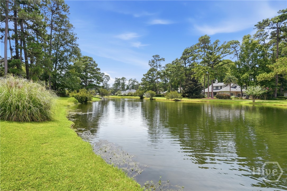 3 Springpine Lane Property Photo 50