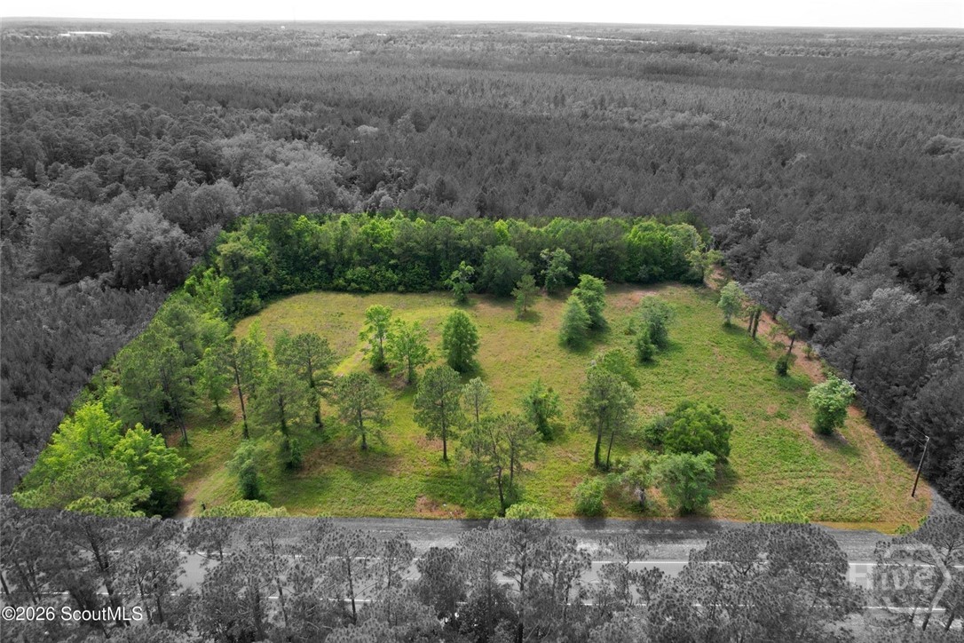 7357 Us-17 Us Hwy 17 Property Photo 1