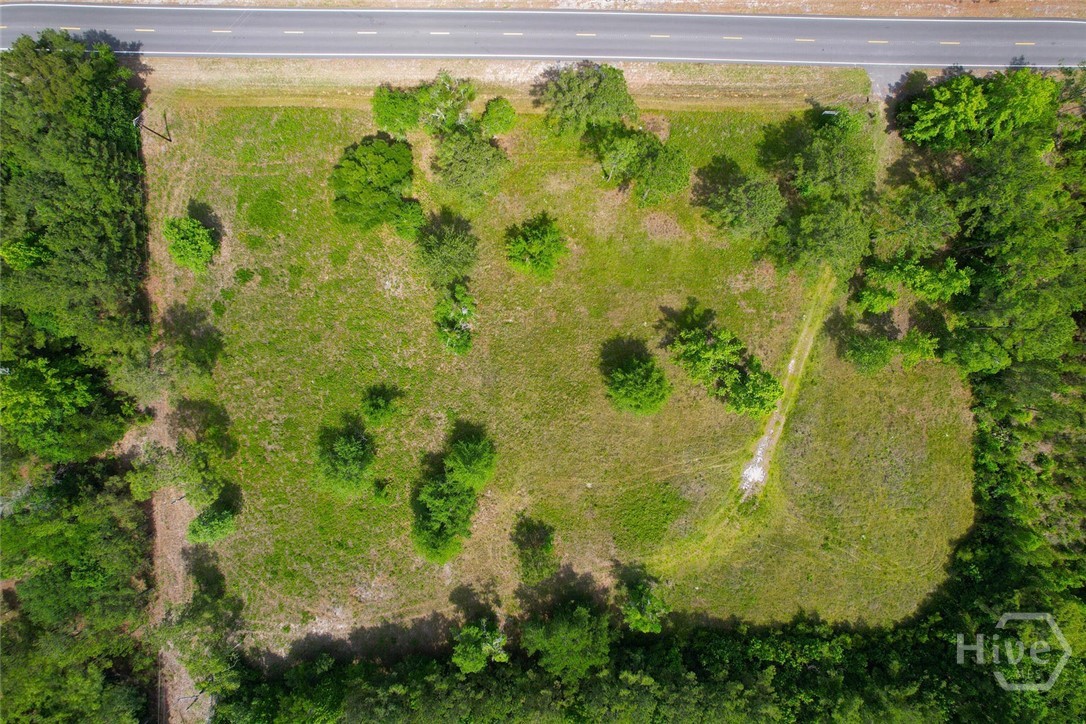 7357 Us-17 Us Hwy 17 Property Photo 3
