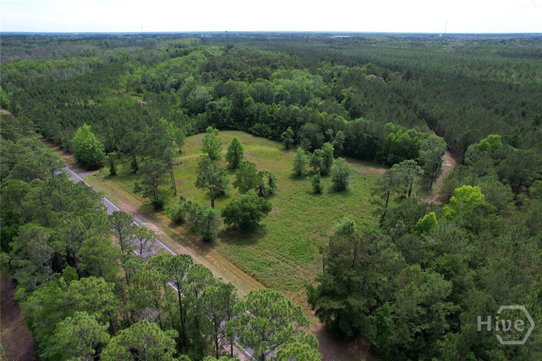 7357 Us-17 Us Hwy 17 Property Photo 5