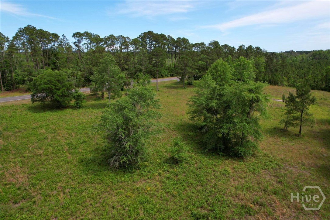 7357 Us-17 Us Hwy 17 Property Photo 7