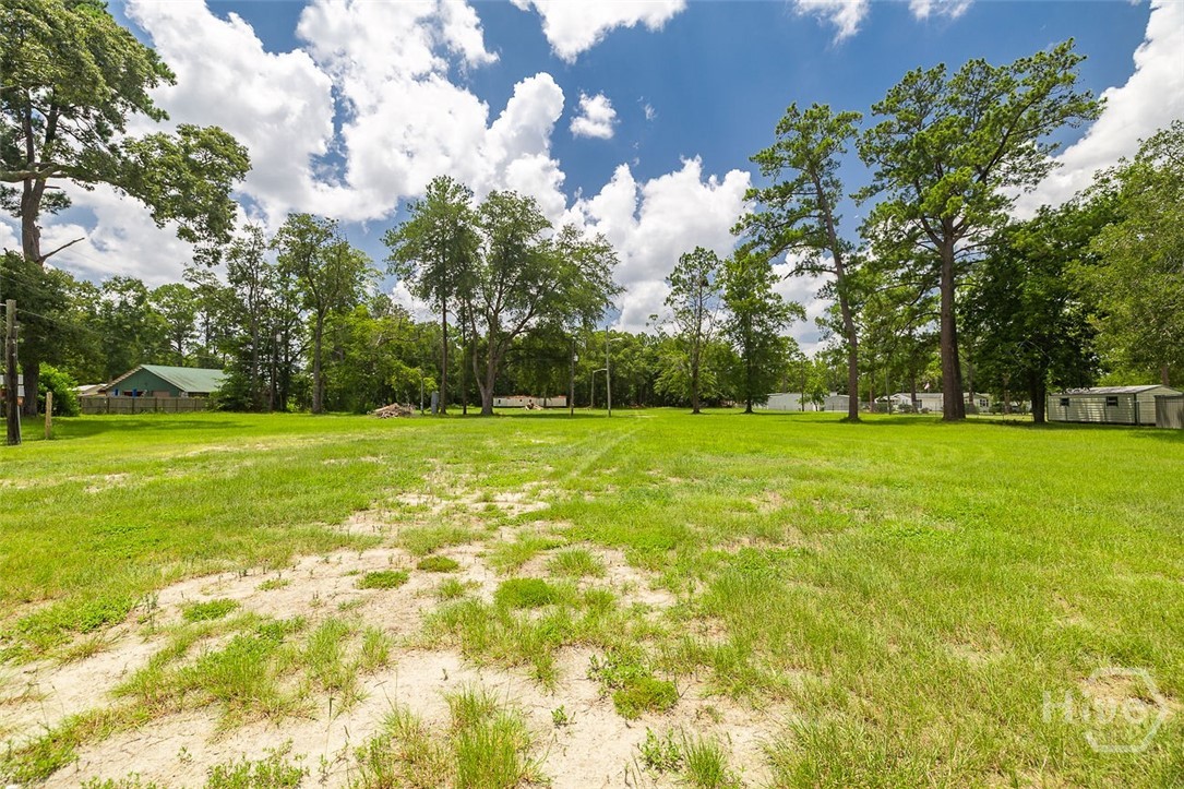 0 Hwy 80 Property Photo 10