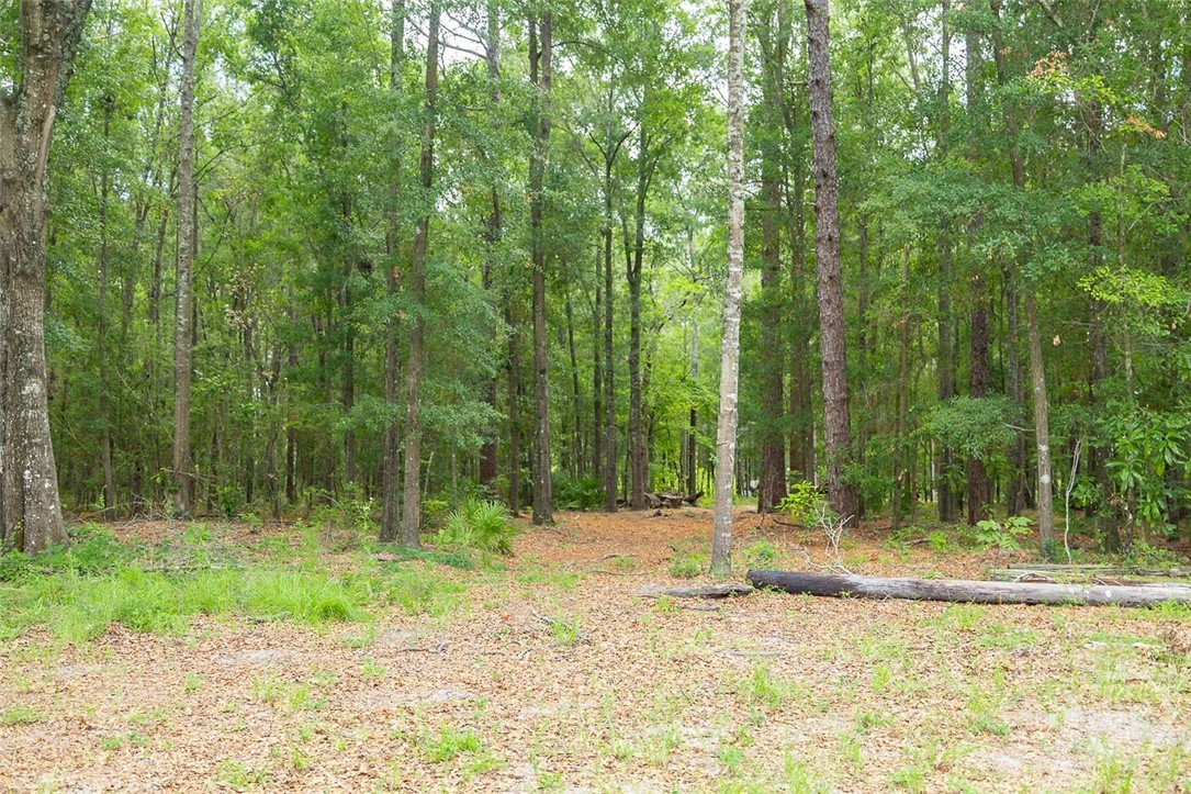 0 Hwy 80 Property Photo 12