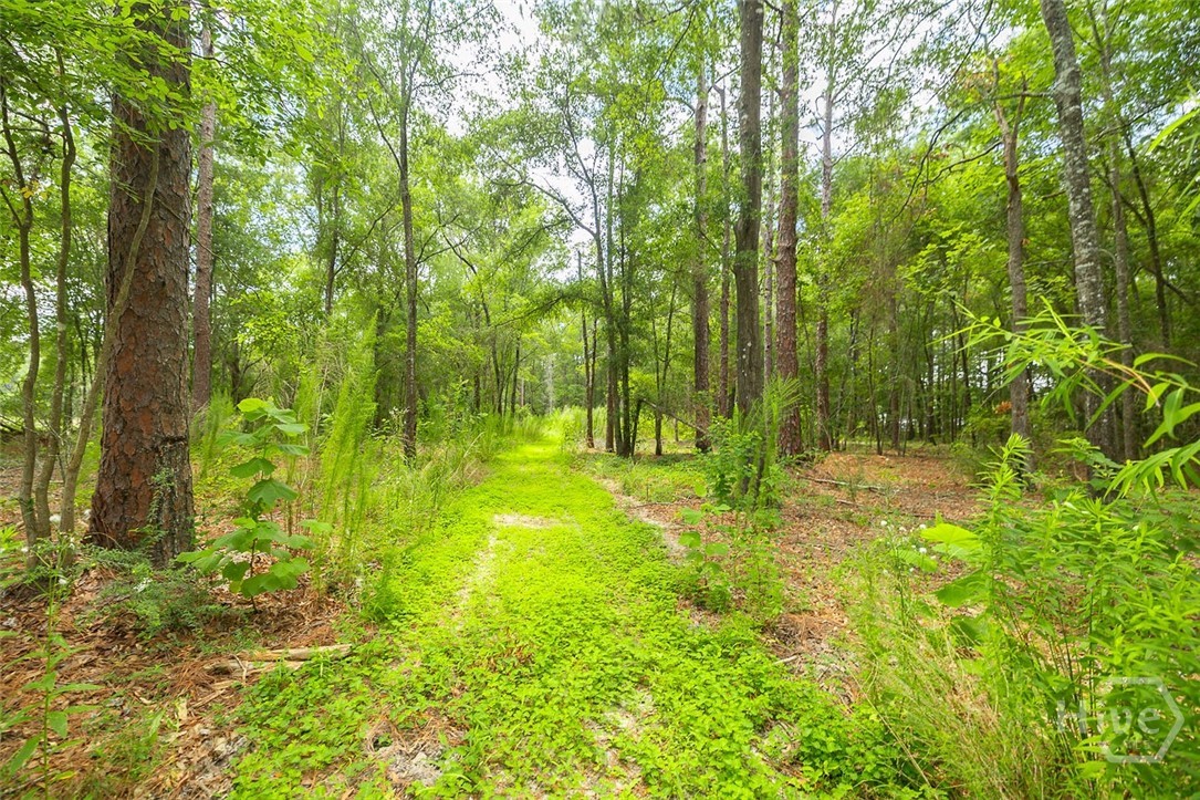 0 Hwy 80 Property Photo 14