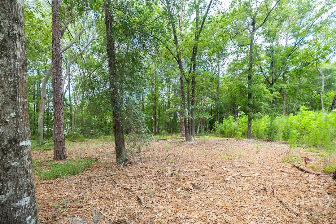 0 Hwy 80 Property Photo 15