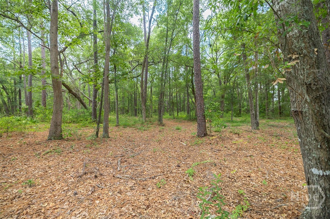 0 Hwy 80 Property Photo 16