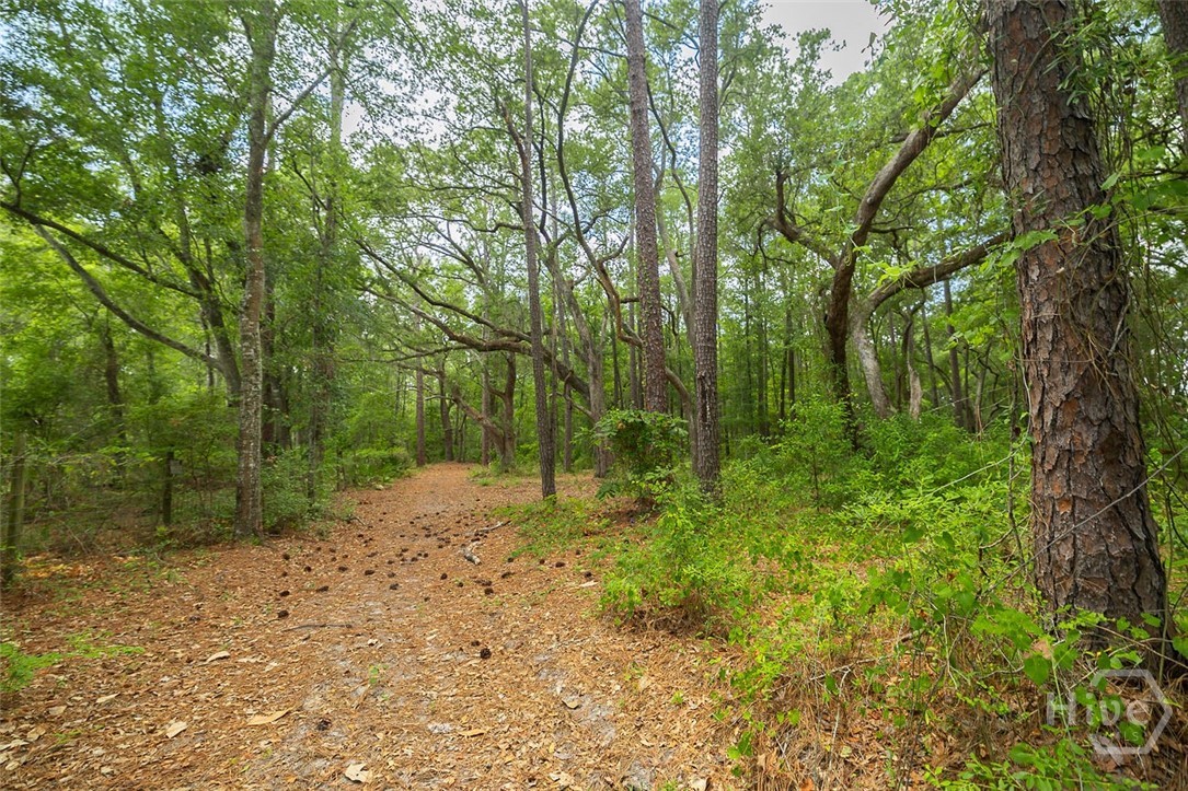 0 Hwy 80 Property Photo 18