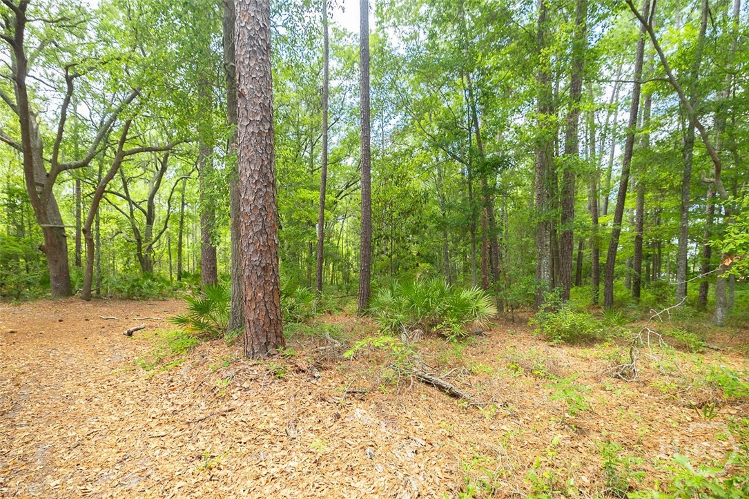 0 Hwy 80 Property Photo 20