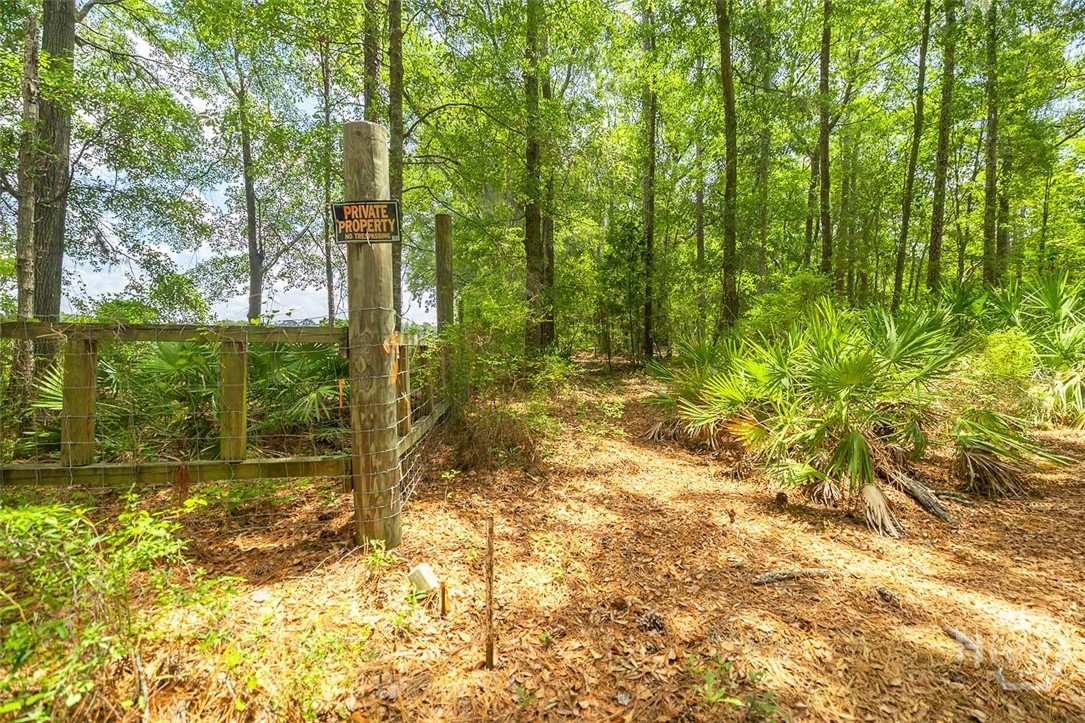 0 Hwy 80 Property Photo 22