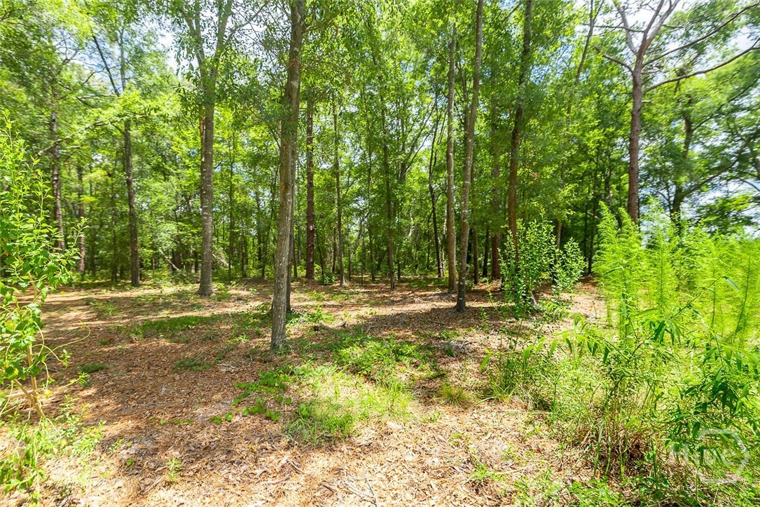 0 Hwy 80 Property Photo 28