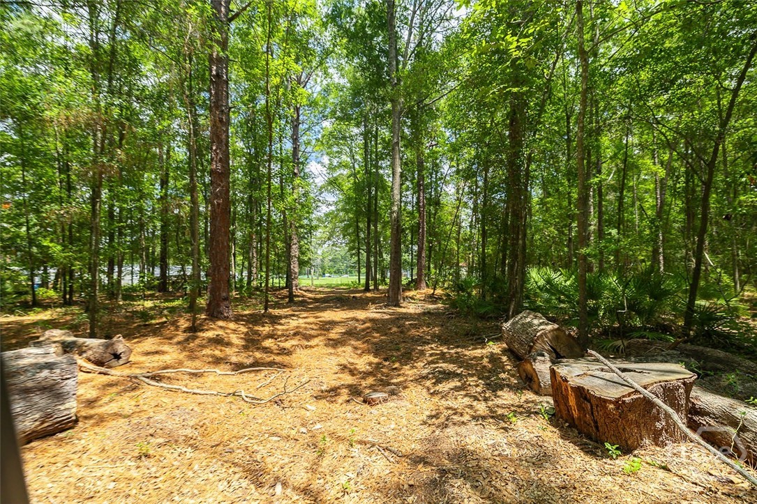 0 Hwy 80 Property Photo 29