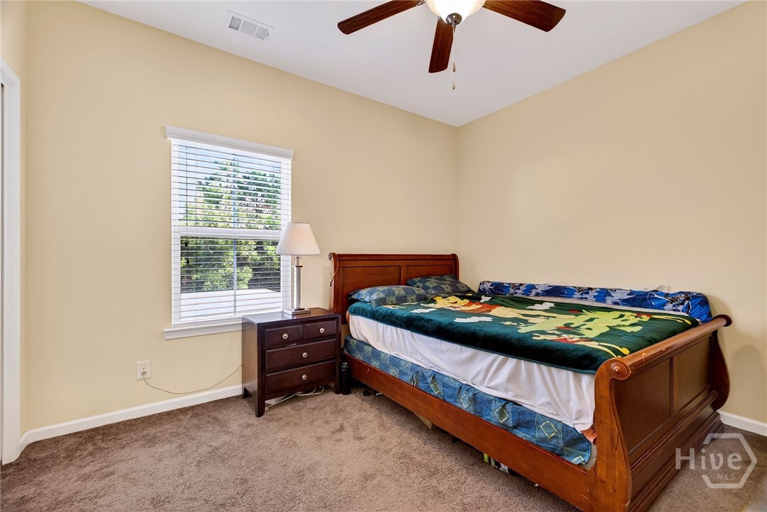 16 Litchfield Drive Property Photo 18