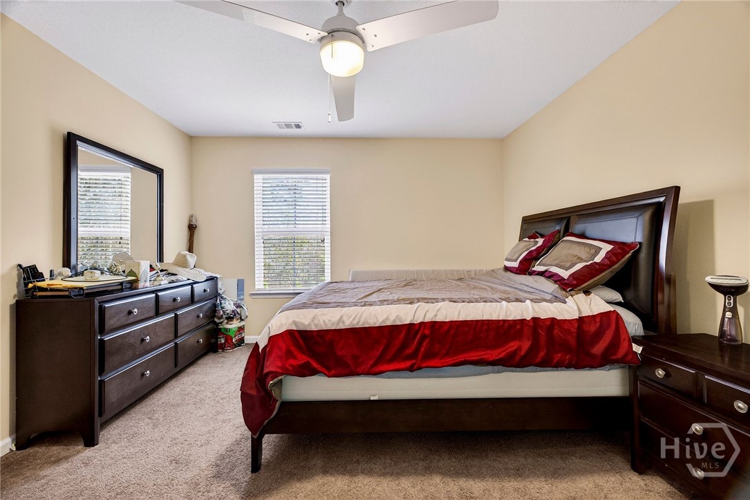 16 Litchfield Drive Property Photo 19