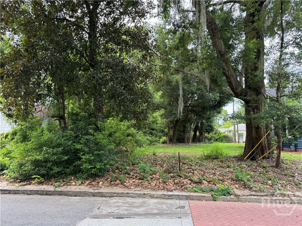 503 Durant Avenue