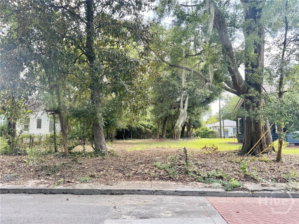 503 Durant Avenue Property Photo 1