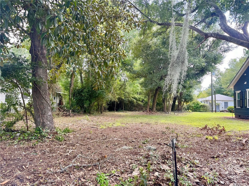 503 Durant Avenue Property Photo 2