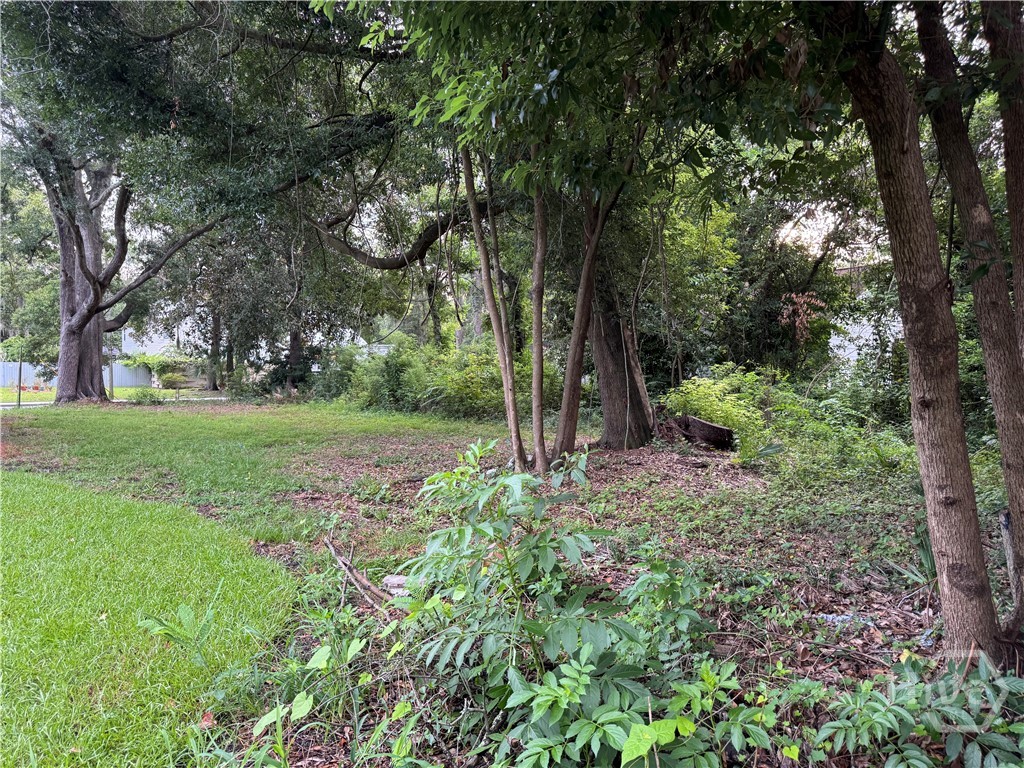 503 Durant Avenue Property Photo 3