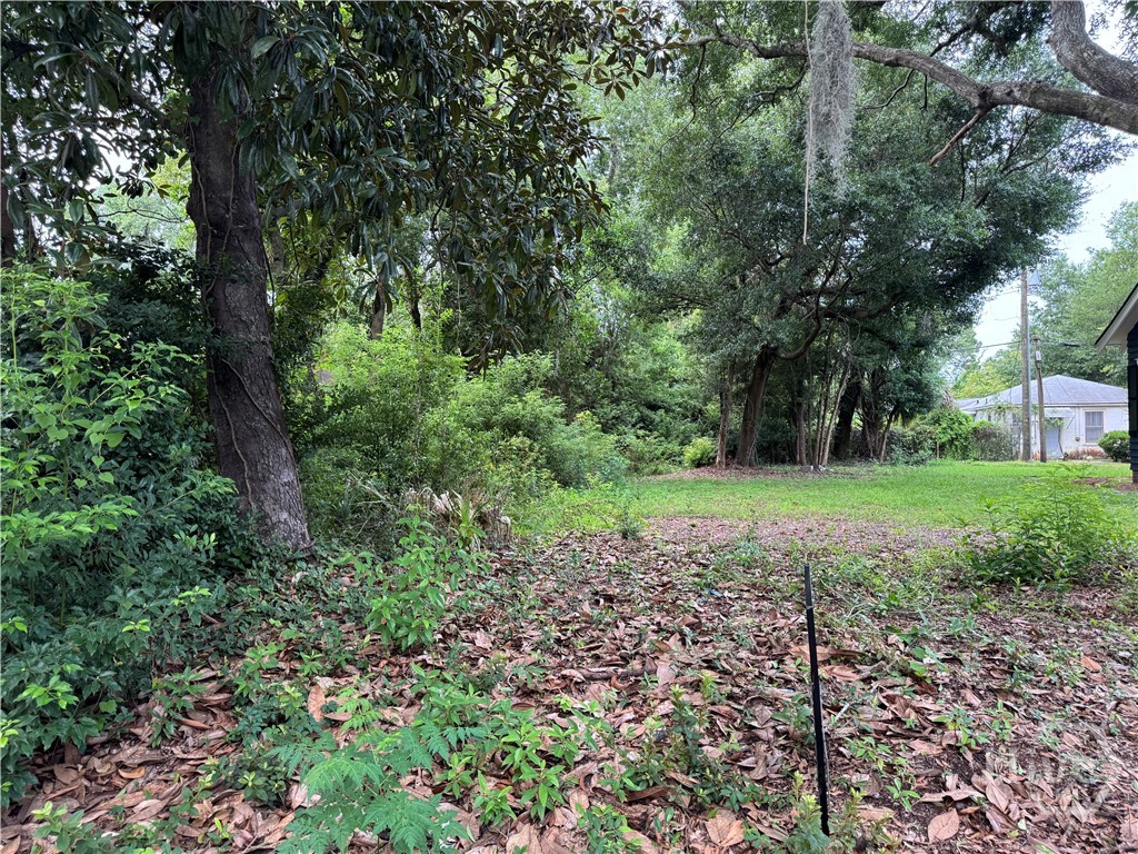 503 Durant Avenue Property Photo 4