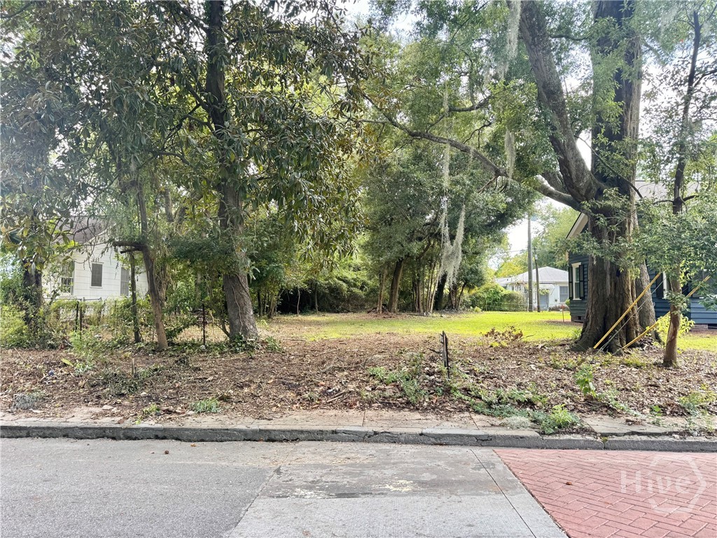 503 Durant Avenue Property Photo 7