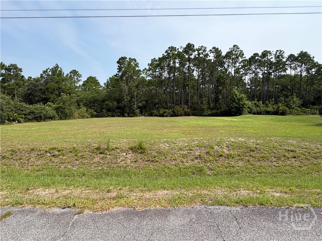 0 Plantation Rd 21 Property Photo 5