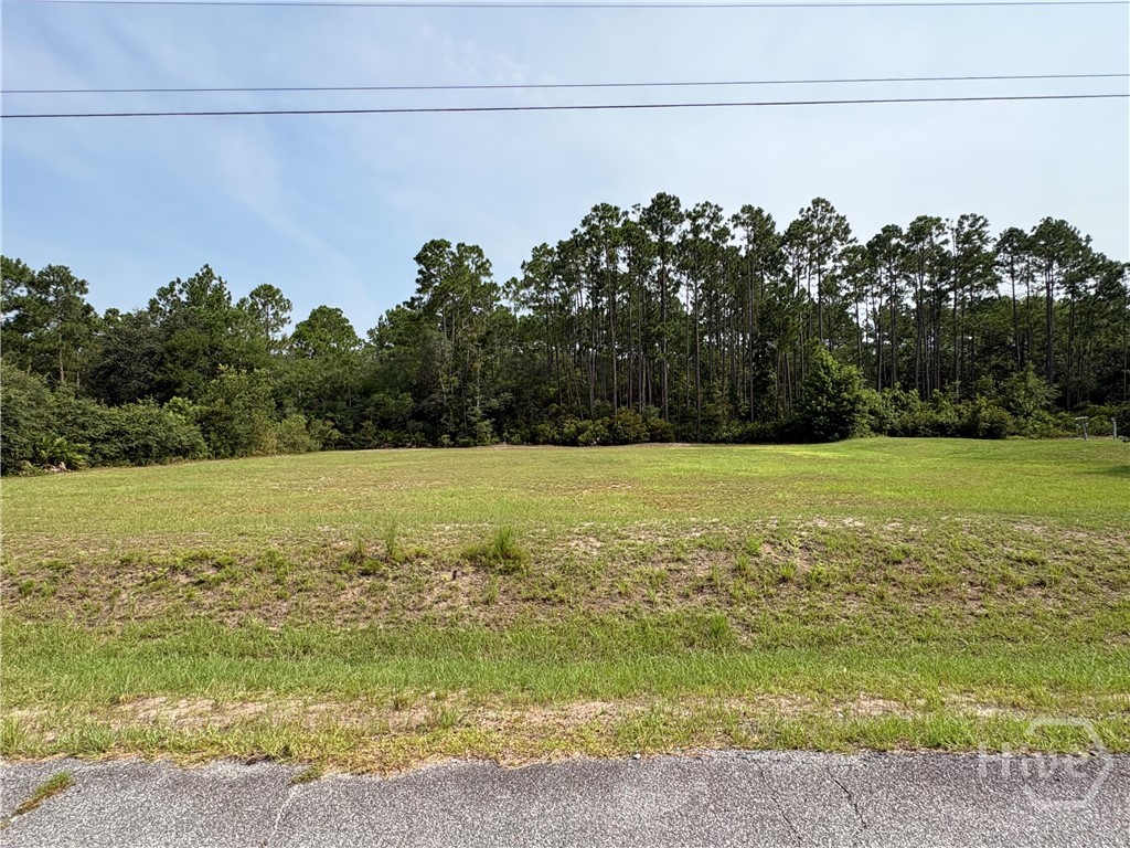 0 Plantation Rd 21 Property Photo 6
