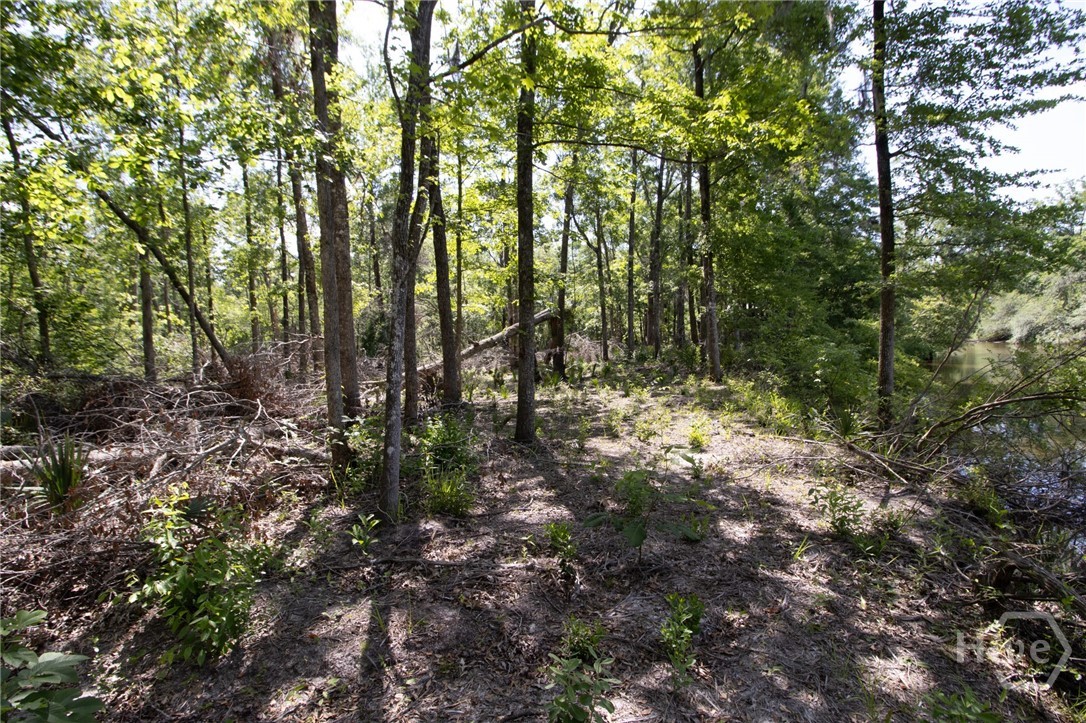 Lot 19-22 The River Landing Road Property Photo 29