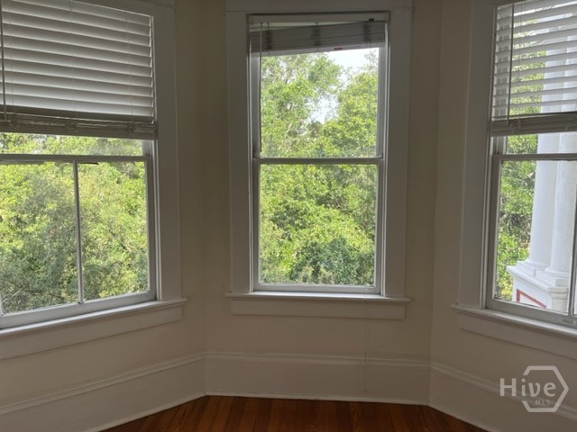 816 Drayton Street 2a Property Photo 5