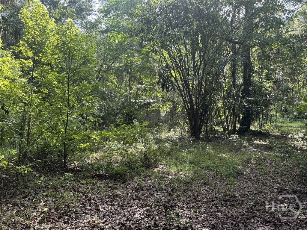 68 Johnson Road Property Photo 2