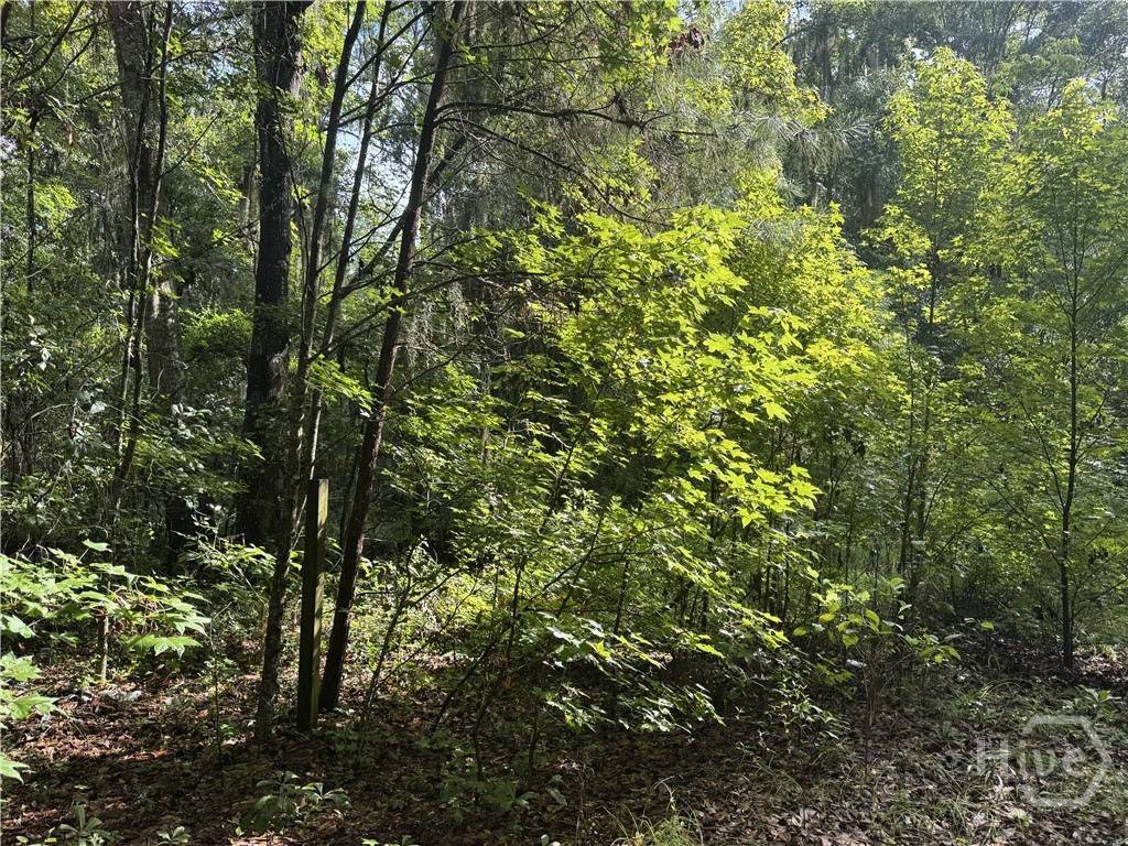68 Johnson Road Property Photo 3