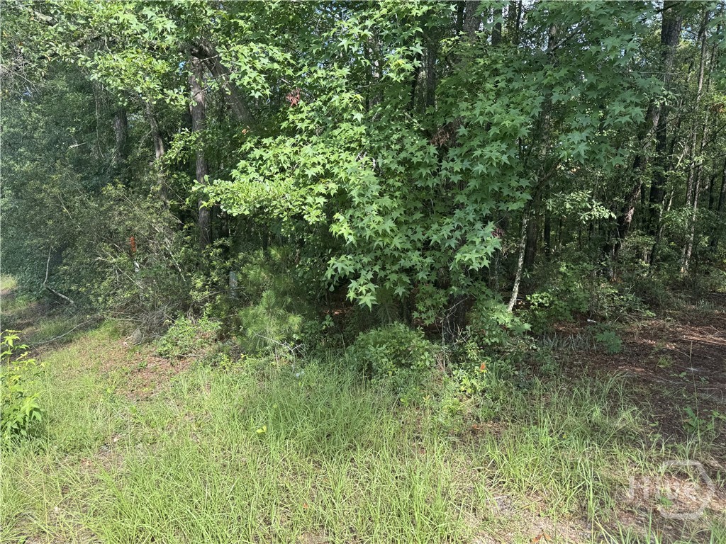 68 Johnson Road Property Photo 4