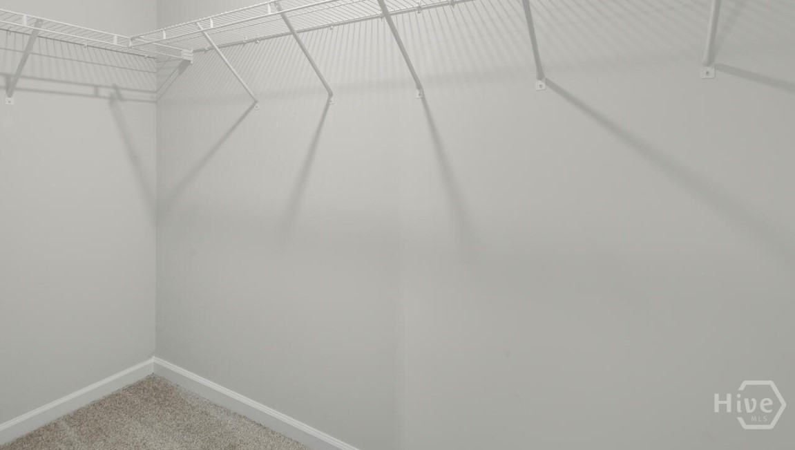 120 Coneflower Road Property Photo 16