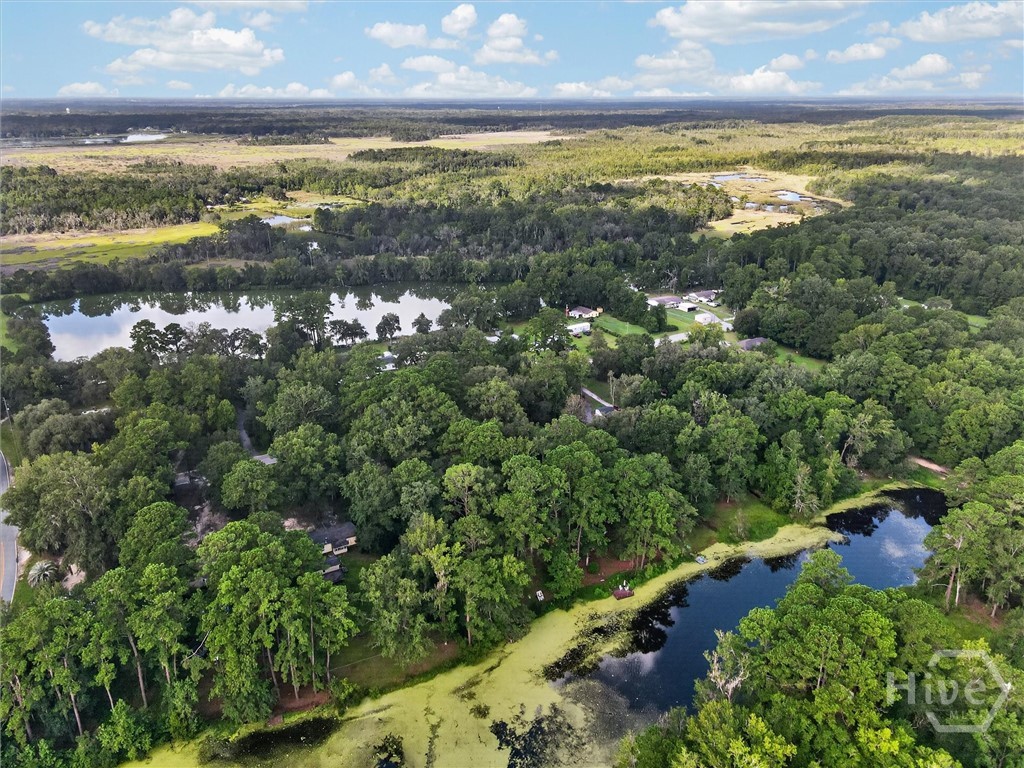343 Wild Heron Drive Property Photo 44