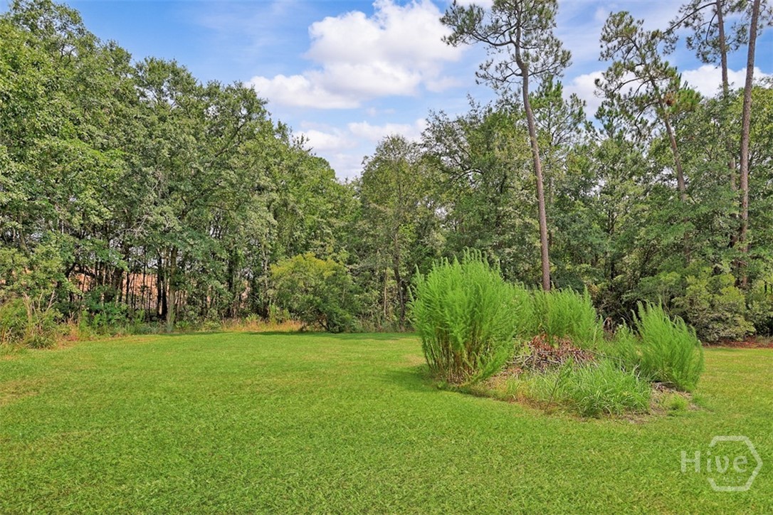 140 Jamestown Drive Property Photo 47