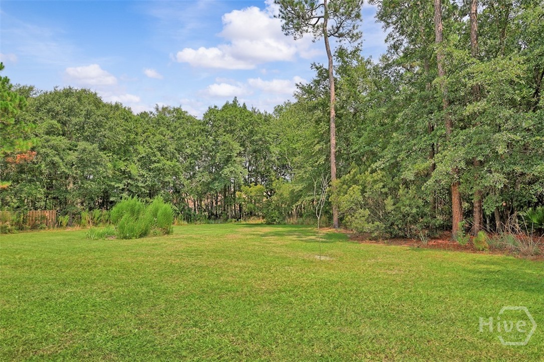 140 Jamestown Drive Property Photo 49